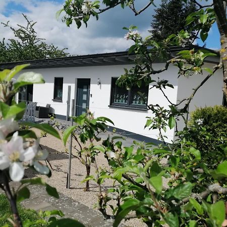 Villa Ferienhaus Am Apfelbaum à Andernach Extérieur photo