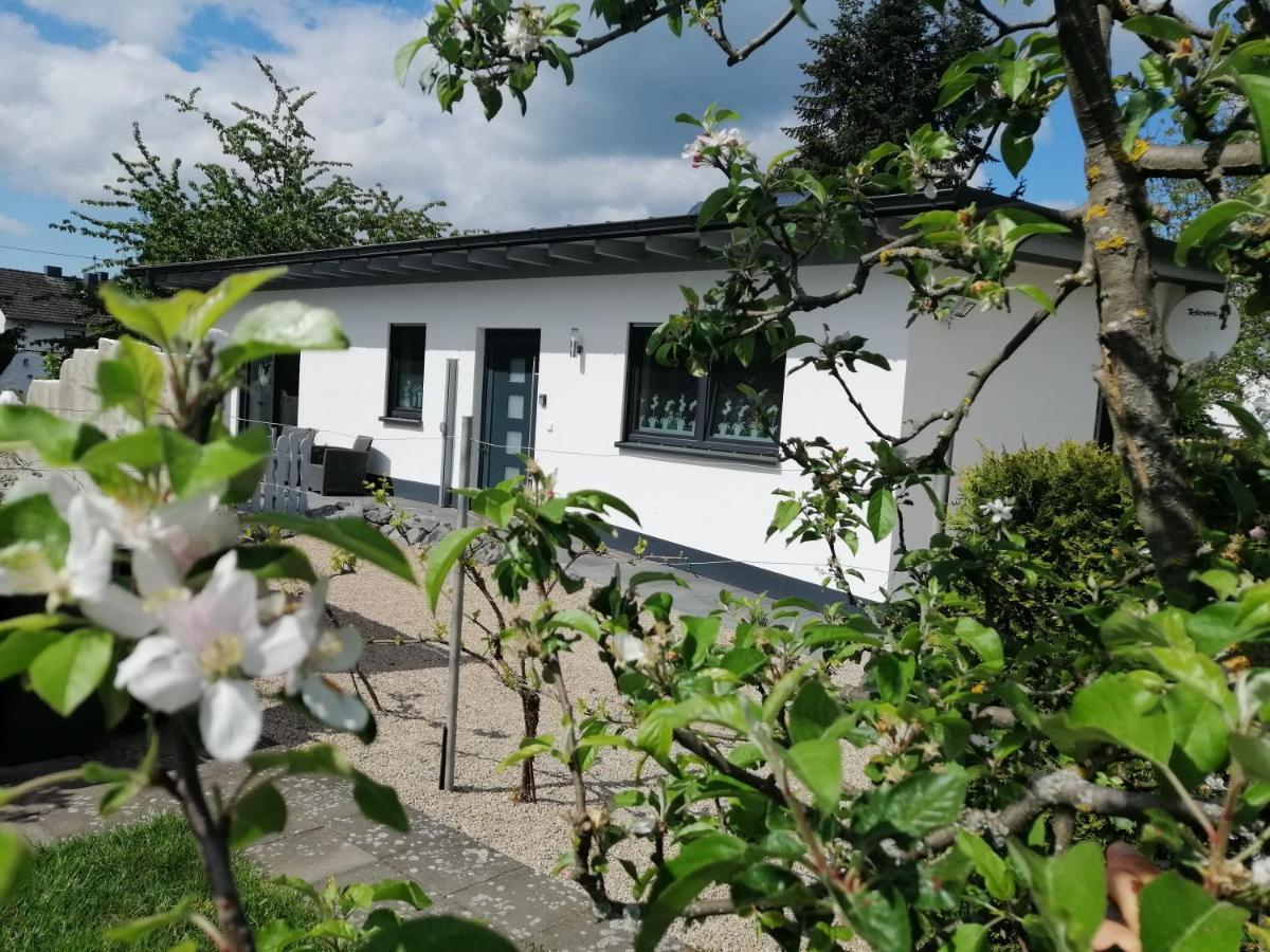 Villa Ferienhaus Am Apfelbaum à Andernach Extérieur photo